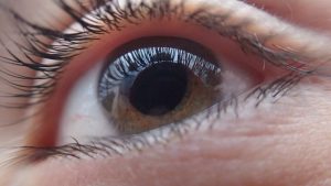 Jak okulista wyciąga coś z oka? Ciekawostki o zawodzie