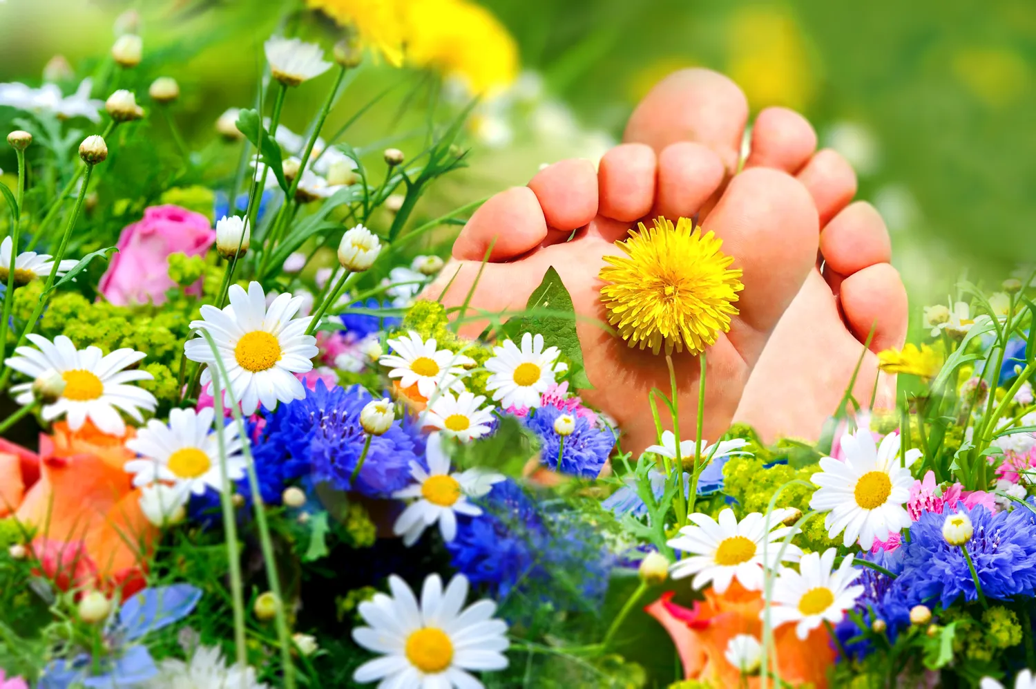 Pedicure leczniczy Warszawa