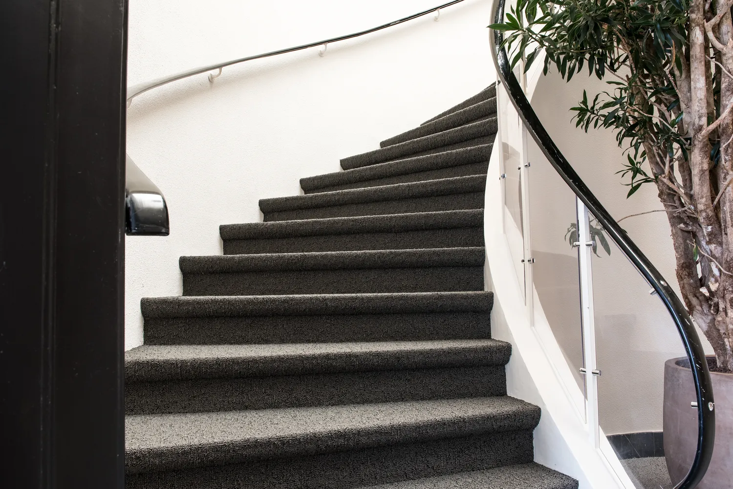 Jak czyścić dywany i wykładziny?