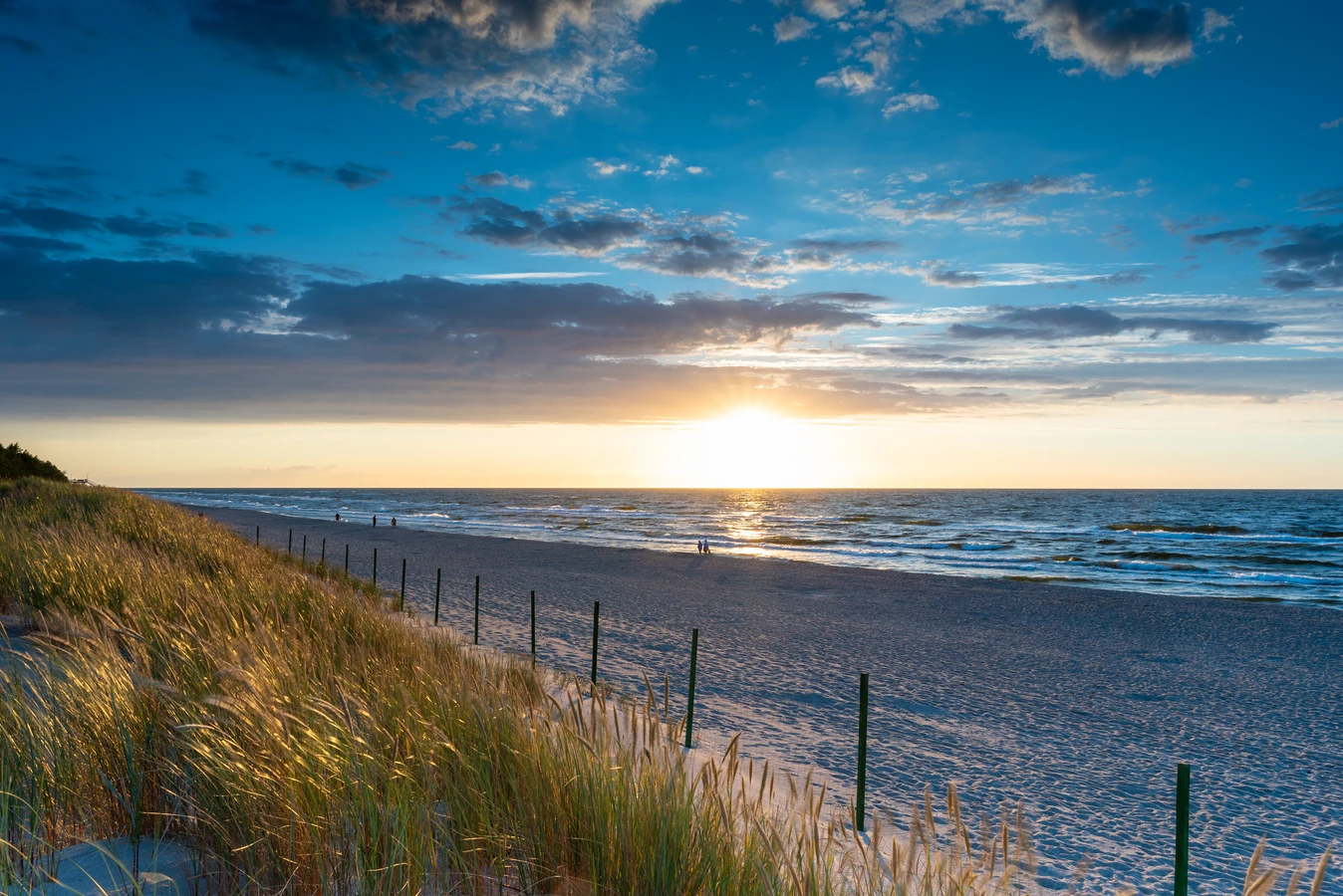 Ile kosztuje trawa z rolki cena?